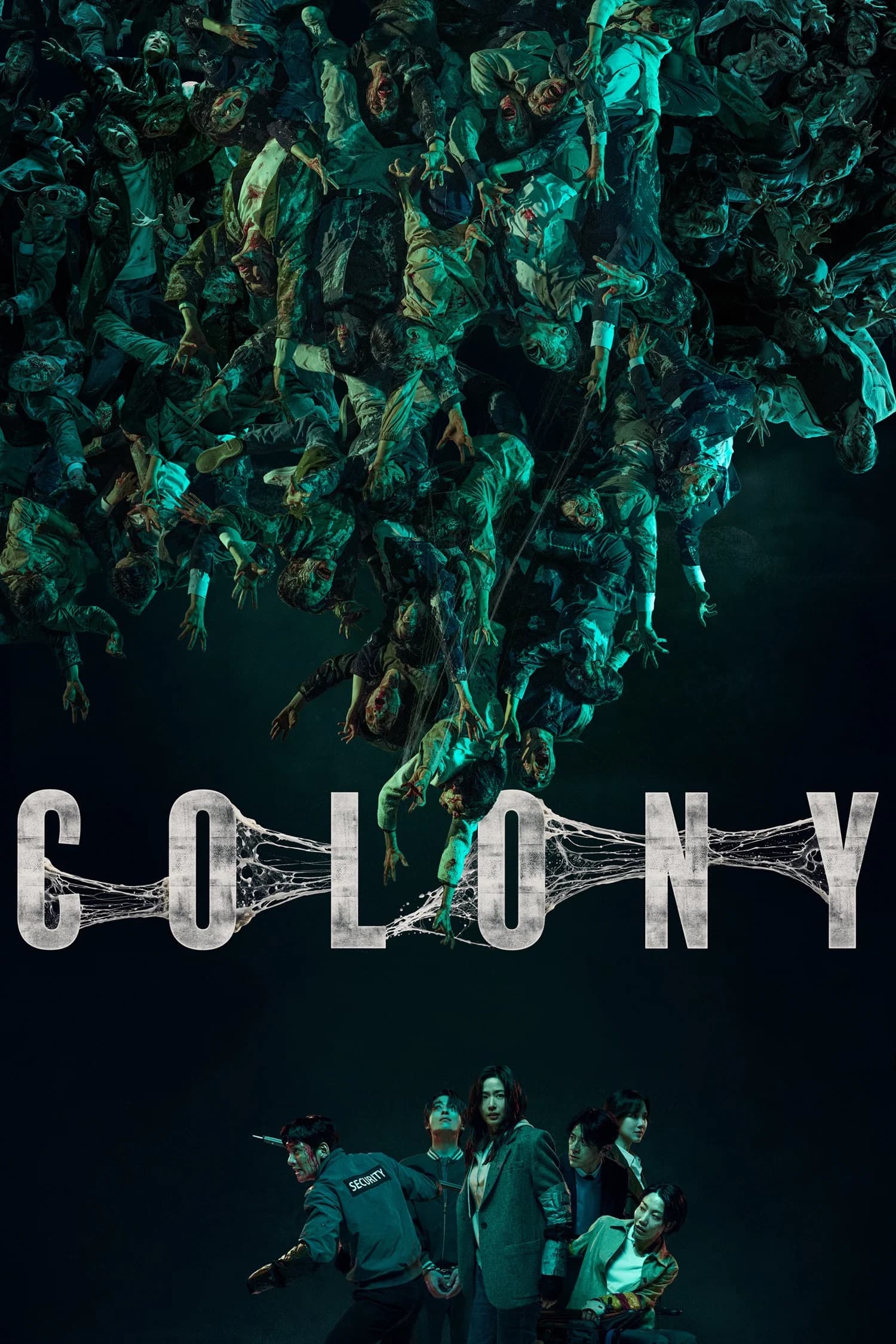 Colony